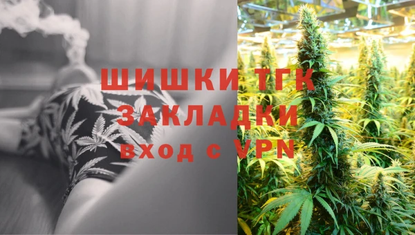 гашик Карталы