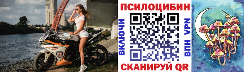 Галлюциногенные грибы мицелий  что такое   мега зеркало  Оленегорск 