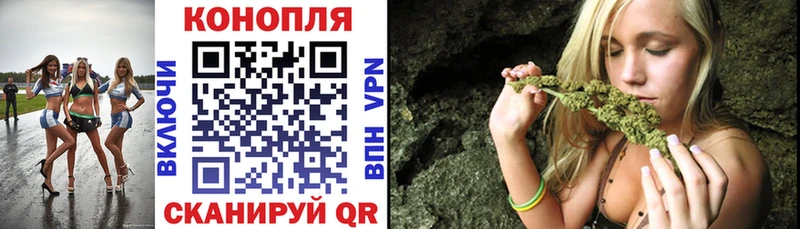 Шишки марихуана планчик где купить наркоту Оленегорск